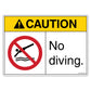 Caution No Diving Decal.