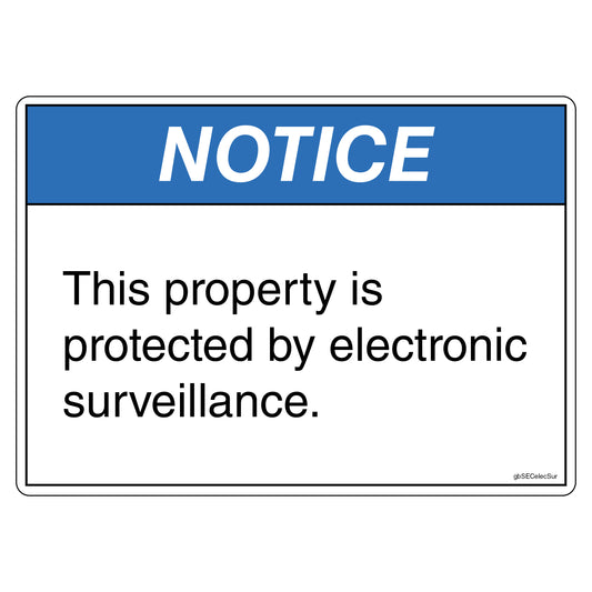 Notice, Property Protected Electronic Surveillance Decal. 